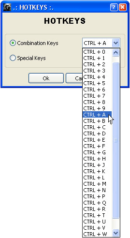 e-Manual IPOT